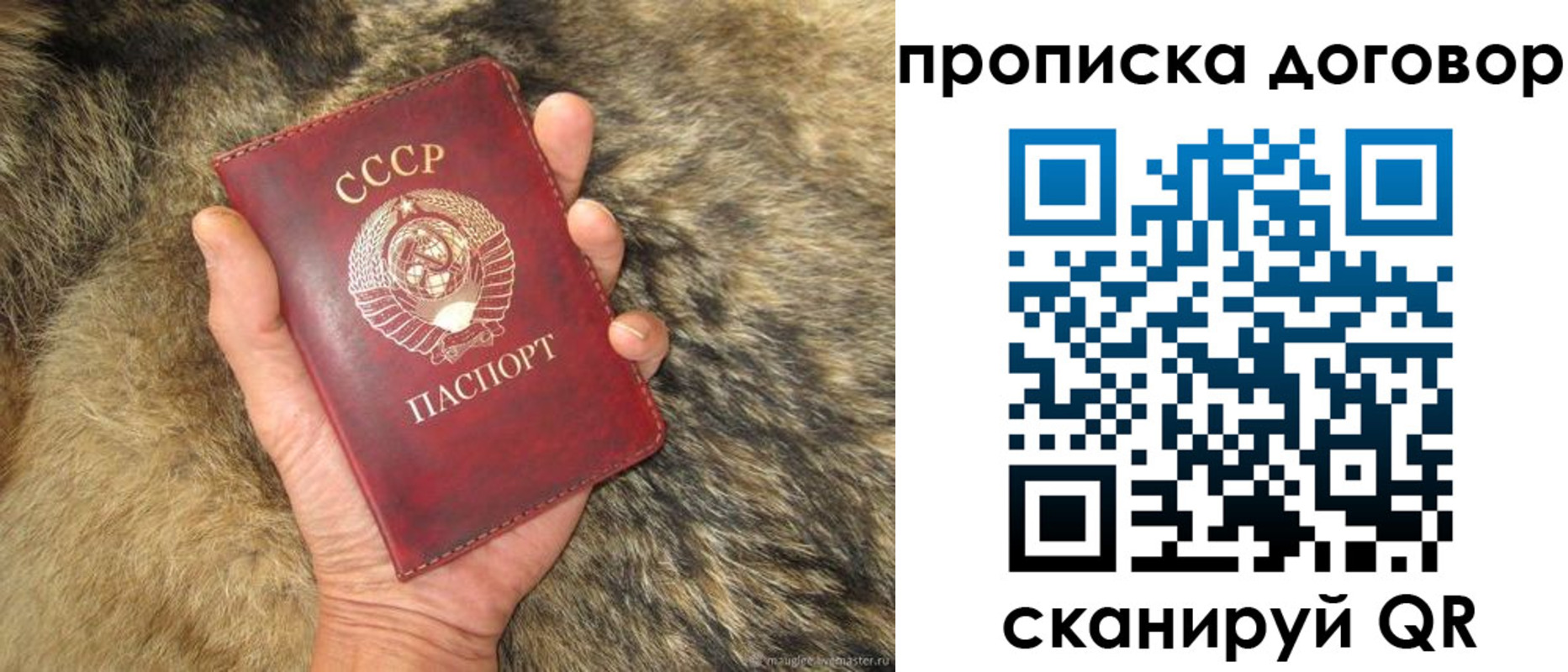 прописка регистрация в Николаевске